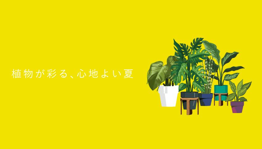 仙台の家具MONO＋夏の植栽フェア